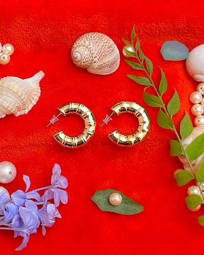 Croissant Hoop Earring